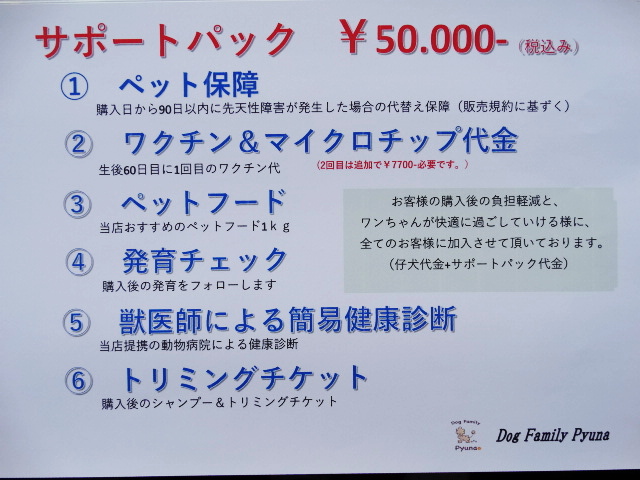 サポートパック