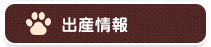 出産情報