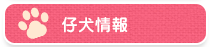 仔犬情報
