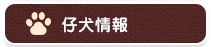 仔犬情報