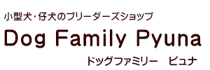 小型犬・仔犬のブリーダーズショップDog Family Pyuna(ドッグファミリーピュナ)/福井県福井市のペットショップ