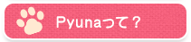 Pyunaって？