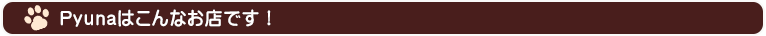 Pyunaはこんなお店です！