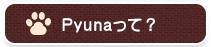 Pyunaって？