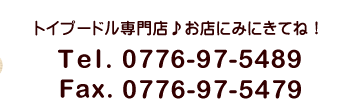 トイプードル専門店♪お店に見に来てね!Tel.0776-97-5489 Fax.0776-97-5479