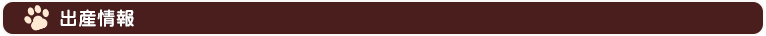 出産情報