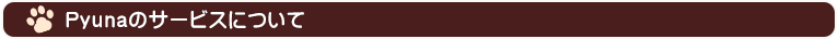 Pyunaのサービスについて